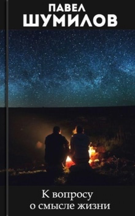 К вопросу о смысле жизни - Павел Шумилов Слушать аудио книги онлайн без регистрации полностью бесплатно - knigavkarmane.net