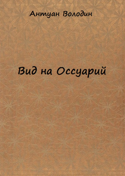 Вид на Оссуарий - Антуан Володин Слушать аудио книги онлайн без регистрации полностью бесплатно - knigavkarmane.net