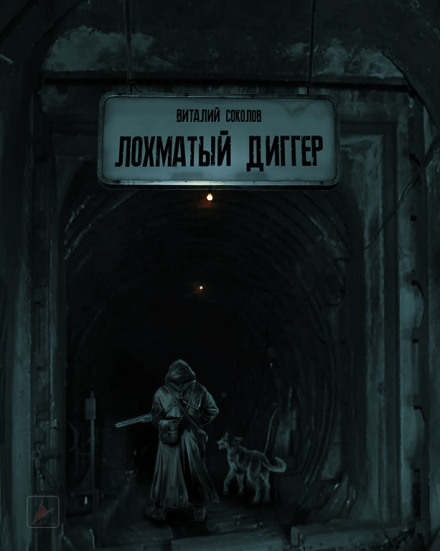Лохматый диггер - Виталий Соколов Слушать аудио книги онлайн без регистрации полностью бесплатно - knigavkarmane.net