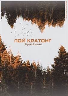 Лой Кратонг - Карина Шаинян Слушать аудио книги онлайн без регистрации полностью бесплатно - knigavkarmane.net