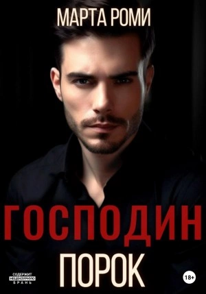 Господин Порок - Марта Роми Слушать аудио книги онлайн без регистрации полностью бесплатно - knigavkarmane.net