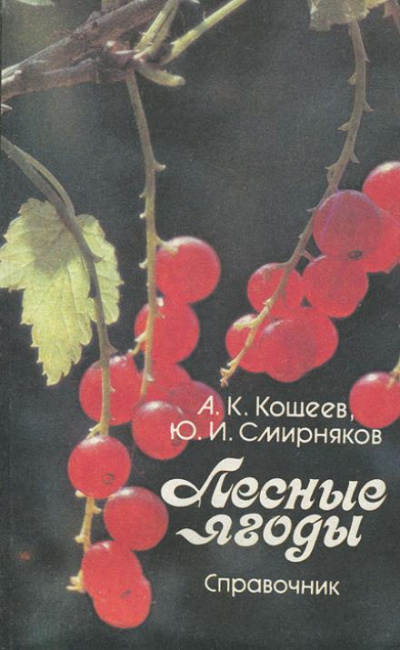 Лесные ягоды - Аркадий Кощеев, Юрий Смирняков Слушать аудио книги онлайн без регистрации полностью бесплатно - knigavkarmane.net