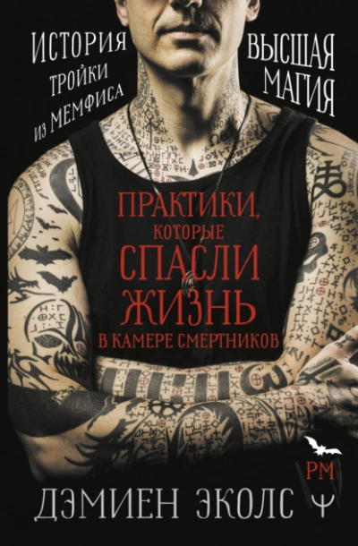 Практики, которые спасли жизнь в камере смертников. Высшая магия. История тройки из Мемфиса - Дэмиен Эколс Слушать аудио книги онлайн без регистрации полностью бесплатно - knigavkarmane.net