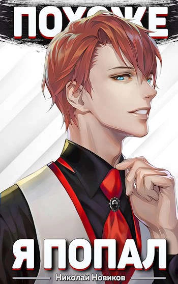 Похоже, я попал. Книга 1 - Николай Новиков Слушать аудио книги онлайн без регистрации полностью бесплатно - knigavkarmane.net