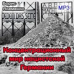 Курс лекций "Концентрационный мир нацистской Германии" - Борис Якеменко Слушать аудио книги онлайн без регистрации полностью бесплатно - knigavkarmane.net