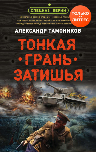 Тонкая грань затишья - Александр Тамоников Слушать аудио книги онлайн без регистрации полностью бесплатно - knigavkarmane.net