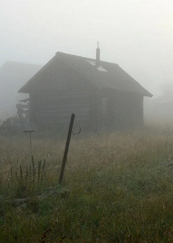 Страшные истории про деревню. Сборник рассказов про деревню Слушать аудио книги онлайн без регистрации полностью бесплатно - knigavkarmane.net