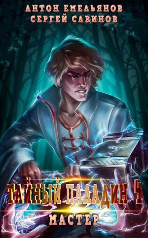 Тайный паладин. Мастер - С. Савинов, А. Емельянов (4) Слушать аудио книги онлайн без регистрации полностью бесплатно - knigavkarmane.net