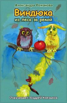 Виндюка - Александра Романова Слушать аудио книги онлайн без регистрации полностью бесплатно - knigavkarmane.net