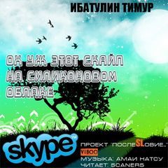 Ох уж этот скайп на силиконовом облаке Слушать аудио книги онлайн без регистрации полностью бесплатно - knigavkarmane.net