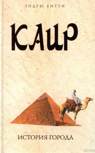 Каир. История города - Эндрю Битти Слушать аудио книги онлайн без регистрации полностью бесплатно - knigavkarmane.net