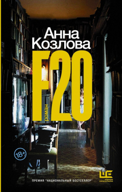 F20 - Анна Козлова Слушать аудио книги онлайн без регистрации полностью бесплатно - knigavkarmane.net