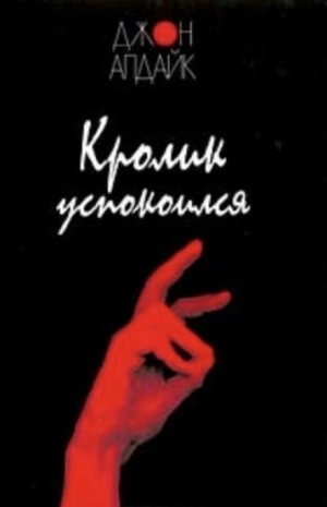 Кролик успокоился - Джон Апдайк Слушать аудио книги онлайн без регистрации полностью бесплатно - knigavkarmane.net