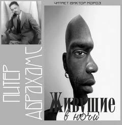 Живущие в ночи - Питер Абрахамс Слушать аудио книги онлайн без регистрации полностью бесплатно - knigavkarmane.net