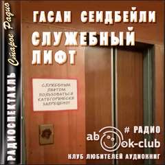 Служебный лифт - Гасан Сеидбейли Слушать аудио книги онлайн без регистрации полностью бесплатно - knigavkarmane.net