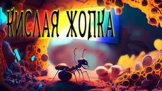 Кислая жопка - Евгений Шиков Слушать аудио книги онлайн без регистрации полностью бесплатно - knigavkarmane.net