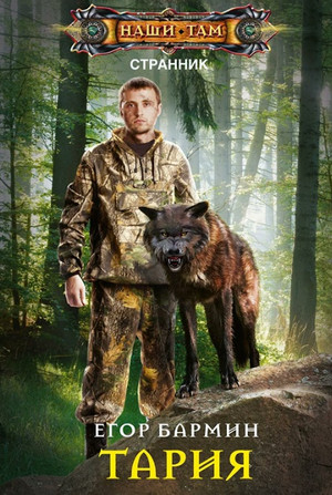 Странник. Тария - Егор Бармин (1) Слушать аудио книги онлайн без регистрации полностью бесплатно - knigavkarmane.net