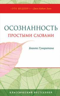 Осознанность простыми словами - Хенепола Гунаратана Бханте Слушать аудио книги онлайн без регистрации полностью бесплатно - knigavkarmane.net
