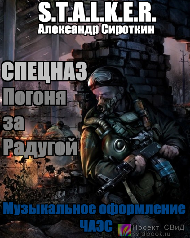 Спецназ - Погоня за Радугой (S.T.A.L.K.E.R) - Александр Сироткин Слушать аудио книги онлайн без регистрации полностью бесплатно - knigavkarmane.net