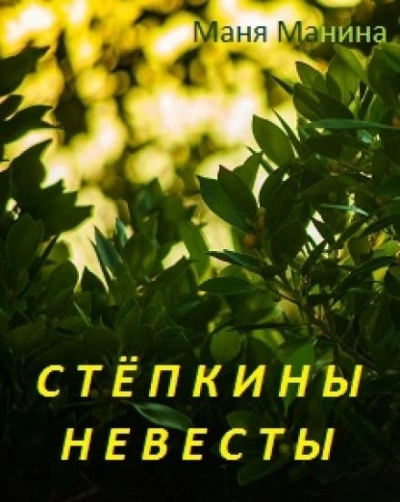 Стёпкины невесты - Маня Манина Слушать аудио книги онлайн без регистрации полностью бесплатно - knigavkarmane.net