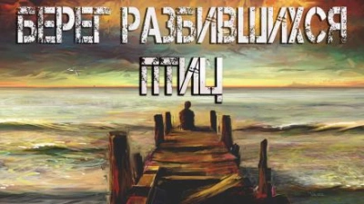 Берег разбившихся птиц - Алена Сказкина Слушать аудио книги онлайн без регистрации полностью бесплатно - knigavkarmane.net