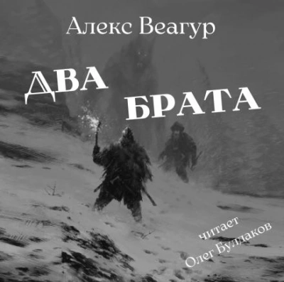 Два брата - Алекс Веагур Слушать аудио книги онлайн без регистрации полностью бесплатно - knigavkarmane.net