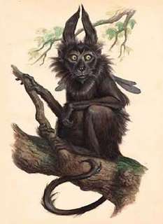 Чародей с улицы Тележной; Ведьмак из коммуналки - Моран Джурич Слушать аудио книги онлайн без регистрации полностью бесплатно - knigavkarmane.net