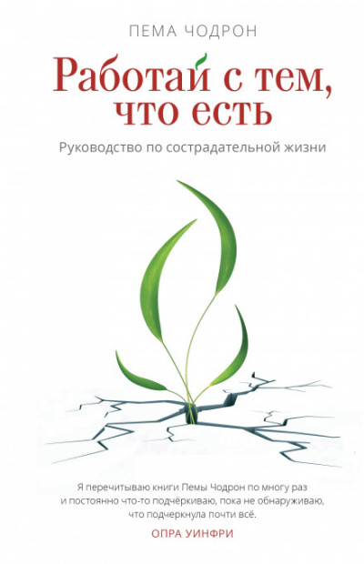 Работай с тем, что есть. Руководство по сострадательной жизни - Пема Чодрон Слушать аудио книги онлайн без регистрации полностью бесплатно - knigavkarmane.net