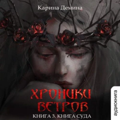 Книга суда - Карина Демина Слушать аудио книги онлайн без регистрации полностью бесплатно - knigavkarmane.net