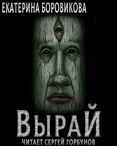 Вырай. Книга 1 - Екатерина Боровикова Слушать аудио книги онлайн без регистрации полностью бесплатно - knigavkarmane.net