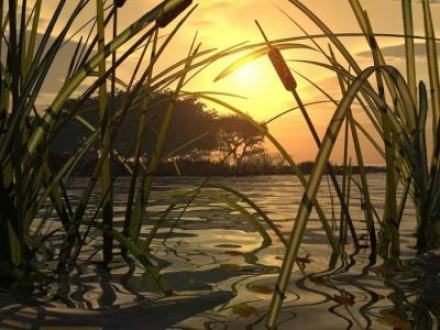 Тишиною благословенная - Ольга Лихобабина Слушать аудио книги онлайн без регистрации полностью бесплатно - knigavkarmane.net