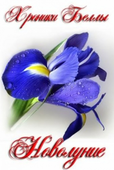 Новолуние - Екатерина Мишина Слушать аудио книги онлайн без регистрации полностью бесплатно - knigavkarmane.net