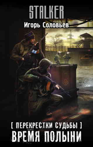 Время полыни (S.T.A.L.K.E.R.) - Игорь Соловьев Слушать аудио книги онлайн без регистрации полностью бесплатно - knigavkarmane.net