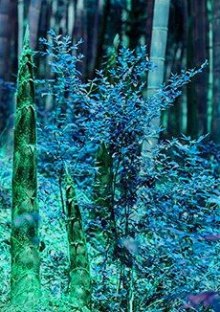 Отец-двойник - Филип Дик Слушать аудио книги онлайн без регистрации полностью бесплатно - knigavkarmane.net