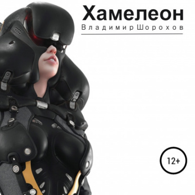 Хамелеон - Владимир Шорохов Слушать аудио книги онлайн без регистрации полностью бесплатно - knigavkarmane.net
