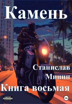 Камень. Книга 8 - Станислав Минин Слушать аудио книги онлайн без регистрации полностью бесплатно - knigavkarmane.net