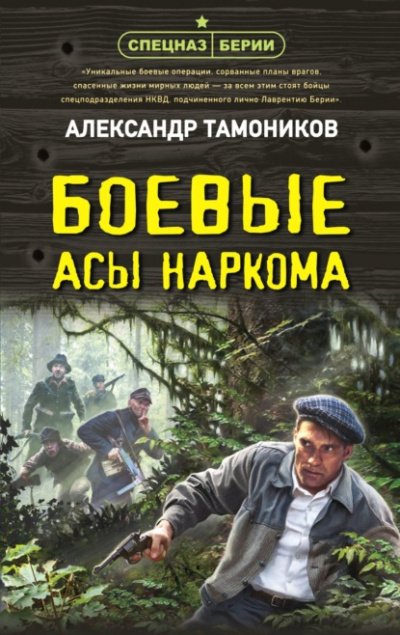 Боевые асы наркома - Александр Тамоников Слушать аудио книги онлайн без регистрации полностью бесплатно - knigavkarmane.net