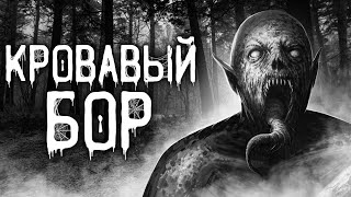 Кровавый бор - Даниил Авдеев Слушать аудио книги онлайн без регистрации полностью бесплатно - knigavkarmane.net