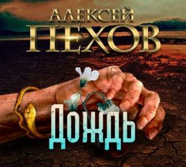 Дождь - Пехов Алексей Слушать аудио книги онлайн без регистрации полностью бесплатно - knigavkarmane.net