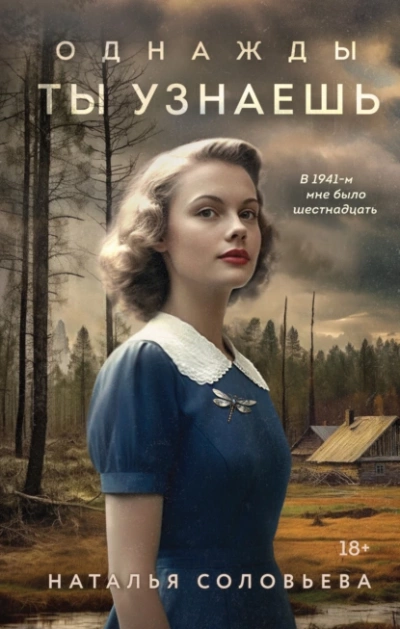 Однажды ты узнаешь - Наталья Соловьева Слушать аудио книги онлайн без регистрации полностью бесплатно - knigavkarmane.net