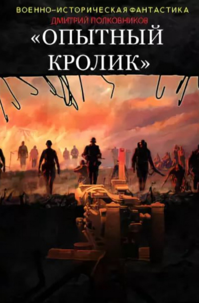 Опытный кролик - Дмитрий Полковников Слушать аудио книги онлайн без регистрации полностью бесплатно - knigavkarmane.net