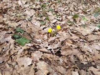 Рефлектор - Ирина Катыкова Слушать аудио книги онлайн без регистрации полностью бесплатно - knigavkarmane.net