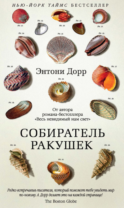 Собиратель ракушек - Энтони Дорр Слушать аудио книги онлайн без регистрации полностью бесплатно - knigavkarmane.net