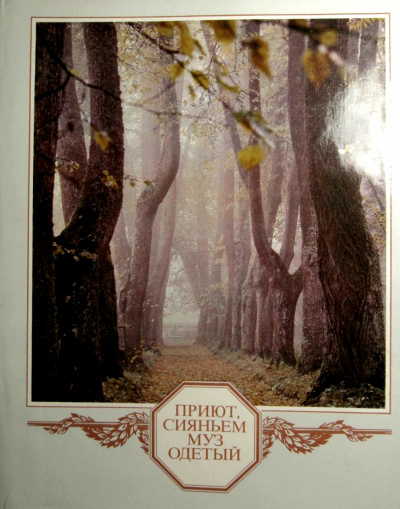 Приют, сияньем муз одетый... - Семен Гейченко Слушать аудио книги онлайн без регистрации полностью бесплатно - knigavkarmane.net