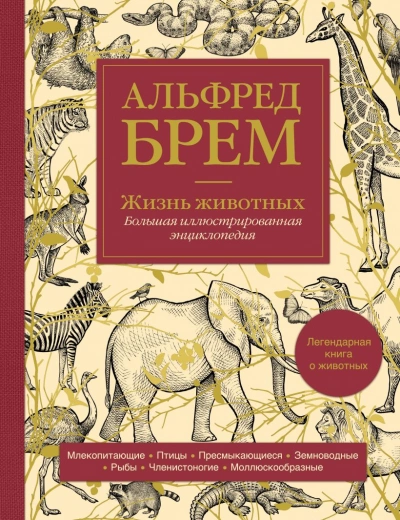 Жизнь животных - Альфред Брэм Слушать аудио книги онлайн без регистрации полностью бесплатно - knigavkarmane.net