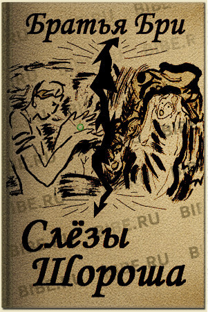 Слёзы Шороша. Книга 3 - Братья Бри Слушать аудио книги онлайн без регистрации полностью бесплатно - knigavkarmane.net