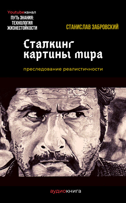 Сталкинг картины мира - Станислав Забровский Слушать аудио книги онлайн без регистрации полностью бесплатно - knigavkarmane.net