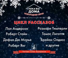Пока все дома. Новогодняя серия Слушать аудио книги онлайн без регистрации полностью бесплатно - knigavkarmane.net