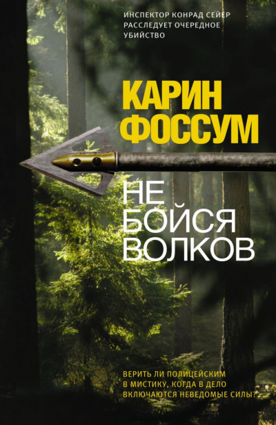 Не бойся волков - Карин Фоссум Слушать аудио книги онлайн без регистрации полностью бесплатно - knigavkarmane.net