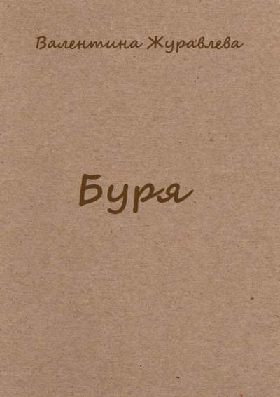Буря - Валентина Журавлева Слушать аудио книги онлайн без регистрации полностью бесплатно - knigavkarmane.net